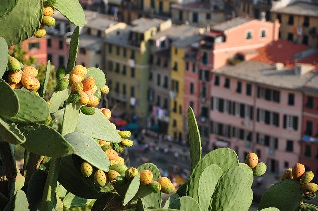 Download grátis Liguria Vernazza Travel modelo de foto grátis para ser editado com o editor de imagens online GIMP