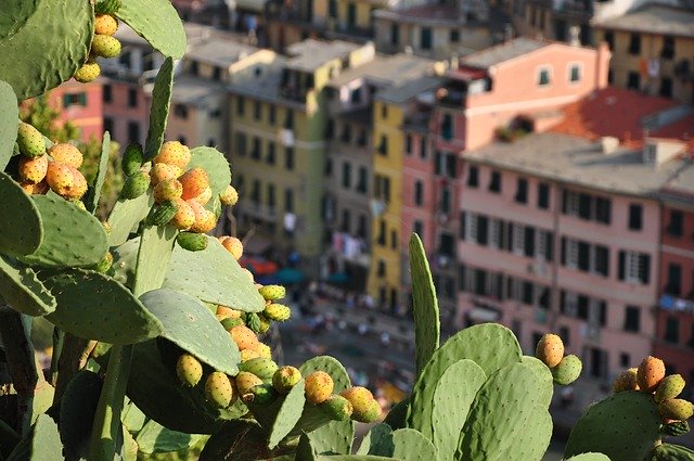 دانلود رایگان قالب عکس رایگان Liguria Vernazza Travel برای ویرایش با ویرایشگر تصویر آنلاین GIMP