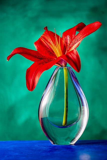 Free download lilly flower vase glass stillfife free picture to be edited with GIMP free online image editor