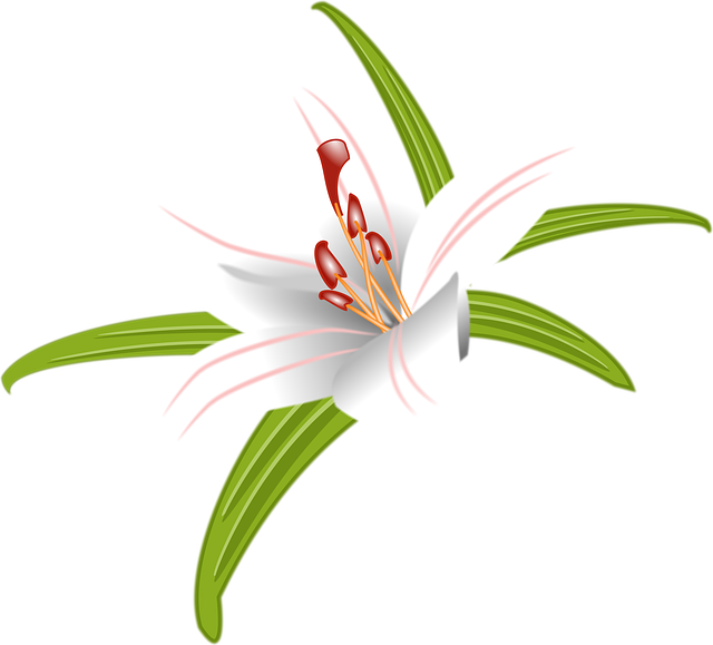 Free download Lily Flower Easter -  free illustration to be edited with GIMP free online image editor