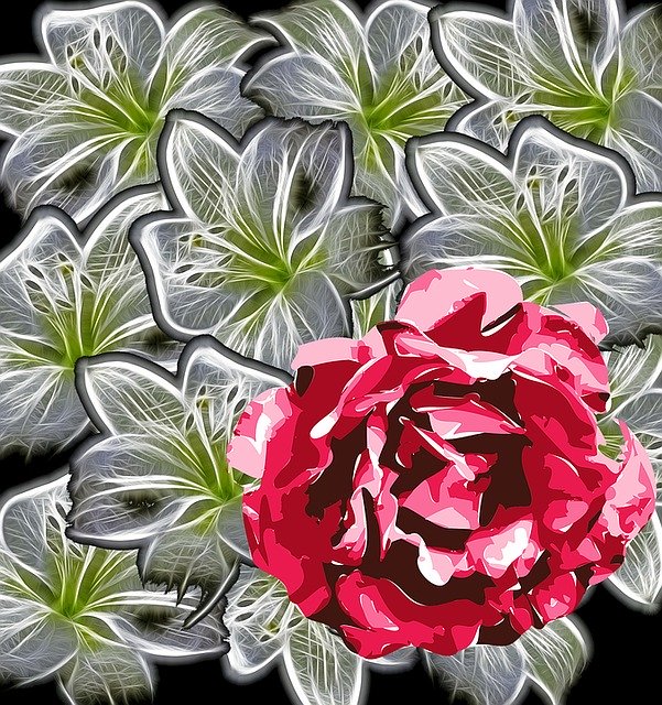 Free download Lily Rose White -  free illustration to be edited with GIMP free online image editor