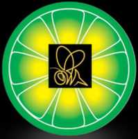 Free download Limebee free photo or picture to be edited with GIMP online image editor