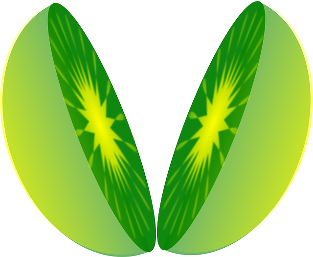 Descarga gratuita Lima Kiwi Fruta - Gráficos vectoriales gratis en Pixabay ilustración gratuita para editar con GIMP editor de imágenes en línea gratuito