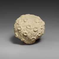 Free download Limestone bunch of narcissus free photo or picture to be edited with GIMP online image editor