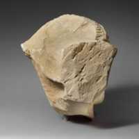 Free download Limestone head of a bearded man from a funerary stele free photo or picture to be edited with GIMP online image editor