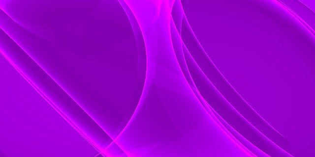 Free download Lines Network Curved The -  free illustration to be edited with GIMP free online image editor