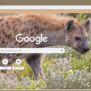 Linh Cau  screen for extension Chrome web store in OffiDocs Chromium