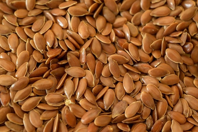 Free download linseed healthy seeds small meal free picture to be edited with GIMP free online image editor