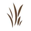 Linyanti  screen for extension Chrome web store in OffiDocs Chromium