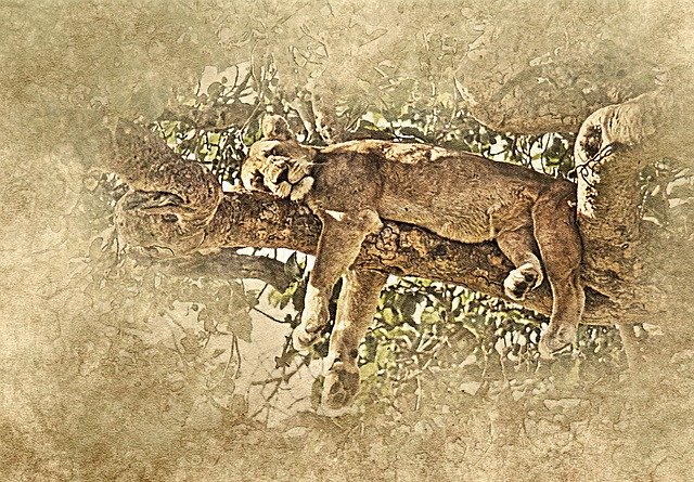Free download Lioness Tree Art -  free illustration to be edited with GIMP free online image editor