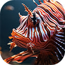 lion fish swimming underwater beautiful orange  screen for extension Chrome web store in OffiDocs Chromium