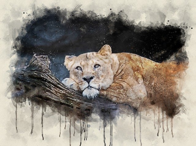 Descărcare gratuită Lion Lioness Animal World - fotografie sau imagini gratuite pentru a fi editate cu editorul de imagini online GIMP