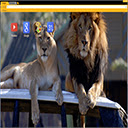 Lions Chillin  screen for extension Chrome web store in OffiDocs Chromium
