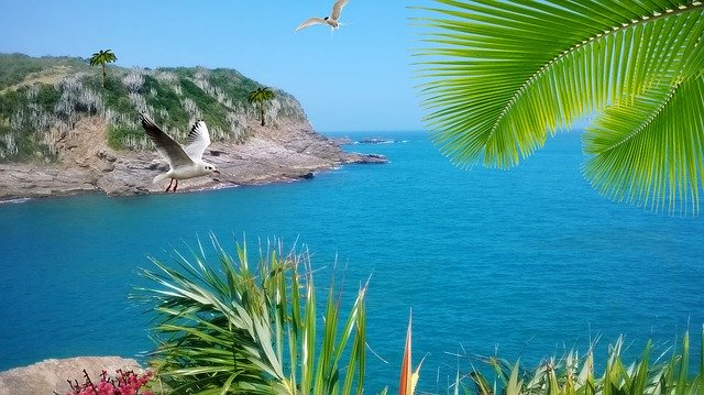 Free download Litoral Serra Orla -  free illustration to be edited with GIMP free online image editor