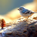 Little Bird at Sunset  screen for extension Chrome web store in OffiDocs Chromium