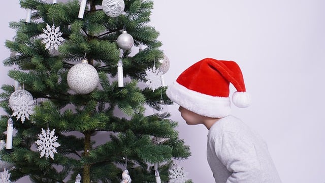 Free download little boy child fir tree free picture to be edited with GIMP free online image editor