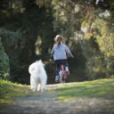 Little girl riding a bicycle  screen for extension Chrome web store in OffiDocs Chromium