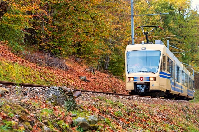 Free download little train vigezzo valley foliage free picture to be edited with GIMP free online image editor