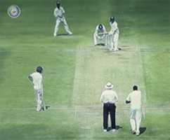 Free download Live Cricket Playing Image free photo or picture to be edited with GIMP online image editor