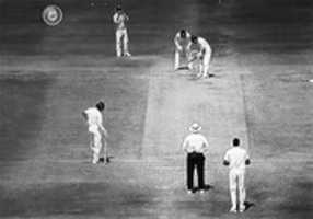 Free download Live Cricket Wallpaper free photo or picture to be edited with GIMP online image editor
