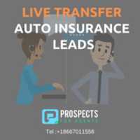 Free download Live Transfer Auto Insurance Leads free photo or picture to be edited with GIMP online image editor