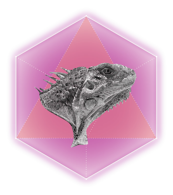 Free download Lizard Hexagon Rosa -  free illustration to be edited with GIMP free online image editor