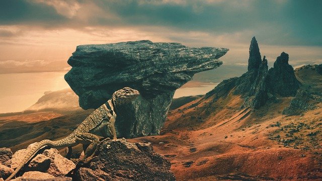 Free download lizard landscape mountains rocks free picture to be edited with GIMP free online image editor