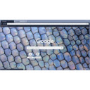 Lizard Scales  screen for extension Chrome web store in OffiDocs Chromium