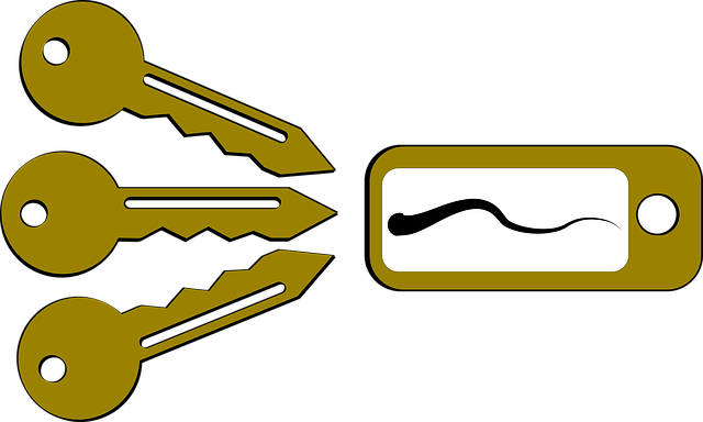 Free download Llave Key Llavero -  free illustration to be edited with GIMP free online image editor