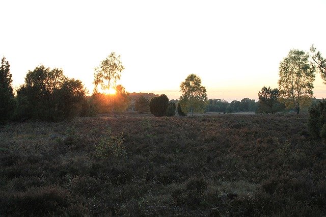 Free download Lüneburg-Heide Landscape Sunset -  free photo or picture to be edited with GIMP online image editor