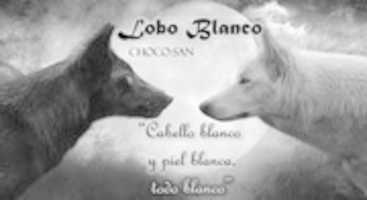 Free download Loboblancoimagenfic free photo or picture to be edited with GIMP online image editor