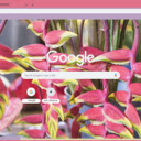 Lobster Claw  screen for extension Chrome web store in OffiDocs Chromium