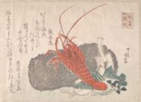 Free download Lobster on a Piece of Charcoal with Other New Year Decorations free photo or picture to be edited with GIMP online image editor