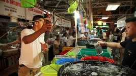 Free download Lobsters Boracay Fish Market The -  free video to be edited with OpenShot online video editor