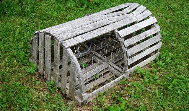 Free download Lobster Trap Wooden -  free photo or picture to be edited with GIMP online image editor