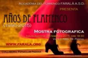 Free download Locandina mostra fotografica Flamenco Fotoclub Padova 2015 free photo or picture to be edited with GIMP online image editor