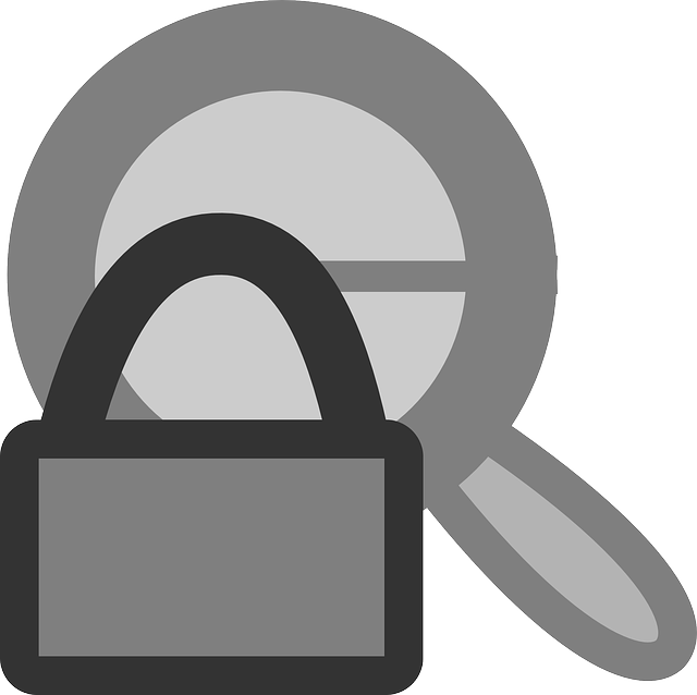 Free download Lock Action View - Free vector graphic on Pixabay free illustration to be edited with GIMP free online image editor