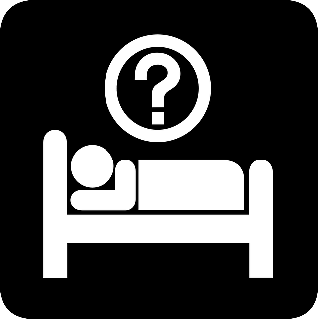 Free download Lodging Accomodation Hotel - Free vector graphic on Pixabay free illustration to be edited with GIMP free online image editor