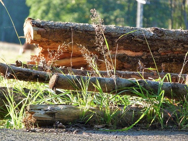 Bezpłatne pobieranie Log Grass Path - bezpłatne zdjęcie lub obraz do edycji za pomocą internetowego edytora obrazów GIMP