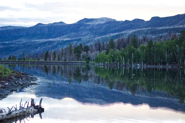 Téléchargement gratuit de Log Lake Sunrise - photo ou image gratuite à modifier avec l'éditeur d'images en ligne GIMP