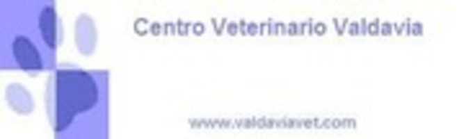Free download Logoclinica 2 free photo or picture to be edited with GIMP online image editor