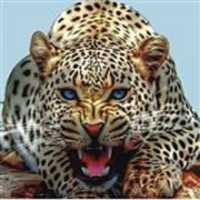 Free download Logo New 123 free photo or picture to be edited with GIMP online image editor