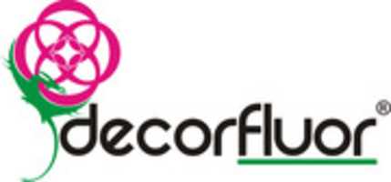 Free download Logotipo Decor Fluor free photo or picture to be edited with GIMP online image editor
