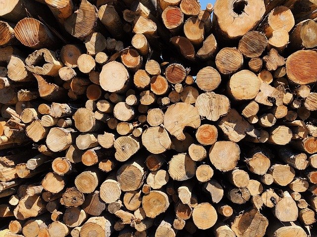 Free picture Logs Logging Wood -  to be edited by GIMP free image editor by OffiDocs