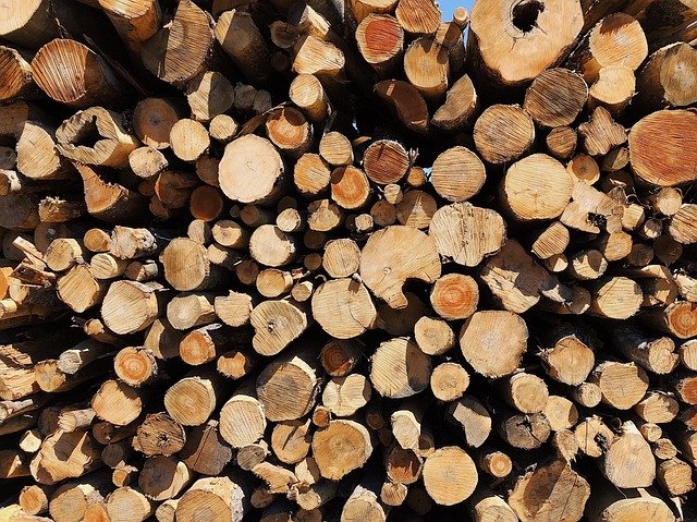 Unduh gratis Logs Logging Wood - foto atau gambar gratis untuk diedit dengan editor gambar online GIMP