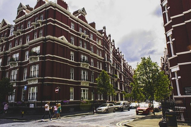 Unduh gratis London Buildings Tree - foto atau gambar gratis untuk diedit dengan editor gambar online GIMP