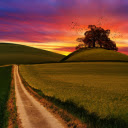 Lonely road and tree  screen for extension Chrome web store in OffiDocs Chromium