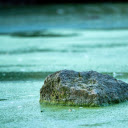 Lonely rock  screen for extension Chrome web store in OffiDocs Chromium