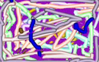 Free download long and short free photo or picture to be edited with GIMP online image editor