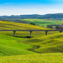 Long bridge and green grass  screen for extension Chrome web store in OffiDocs Chromium